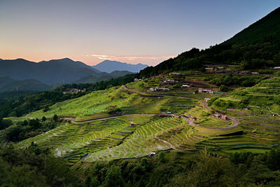 Scenic view of rice field against sky