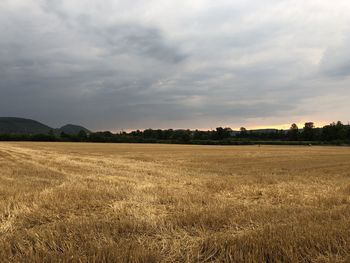 Scenic view of agricultural field against sky