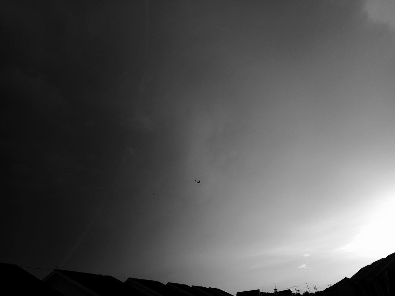 LOW ANGLE VIEW OF BIRDS FLYING AGAINST SKY