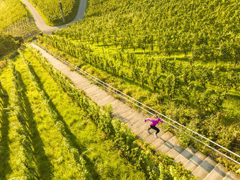 Young woman running on steps amidst green vineyard