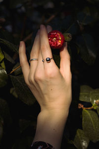 Close up lady hand caressing flower bud concept photo