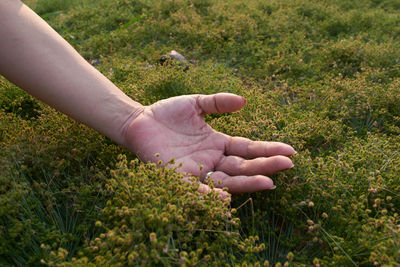 Midsection of person touching grass on field