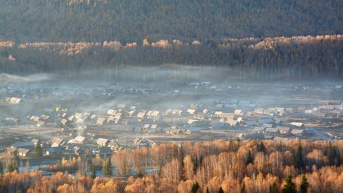 High angle view of trees on landscape