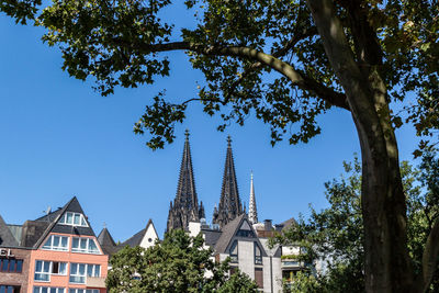 High section of the cologne cathedral