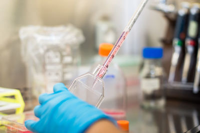 Cropped hands of scientist experimenting in laboratory