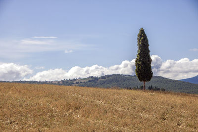 Scenic view of land against sky