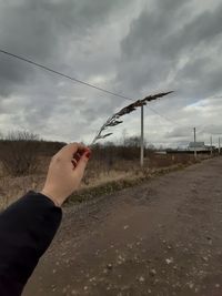 Person hand holding umbrella on field against sky