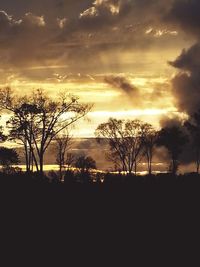 Silhouette of trees on landscape at sunset