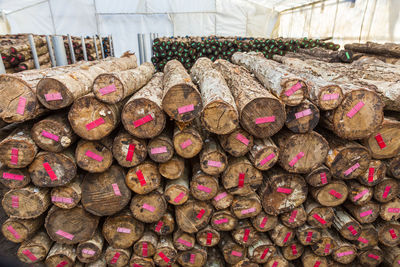 Special wood branches stacked up and labeled to use for growing shitake mushrooms