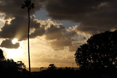 Low angle view of silhouette trees against sky during sunset