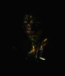 Close-up of illuminated plants against sky at night