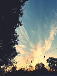 Low angle view of silhouette trees against sky