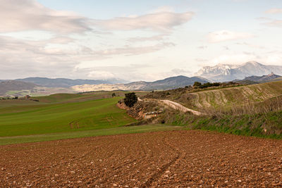 Scenic view of field against sky