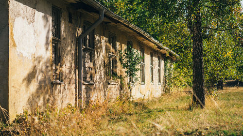 Exterior of abandoned house by trees