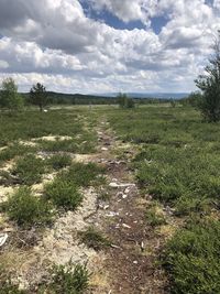 Scenic view of field against sky