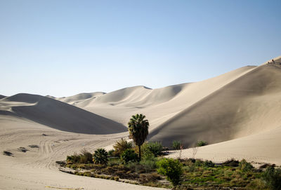 Scenic view of desert against clear sky