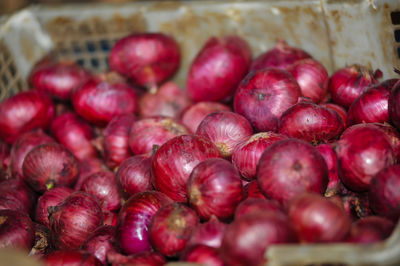 Full frame shot of chestnuts