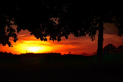 Silhouette trees on field against orange sky