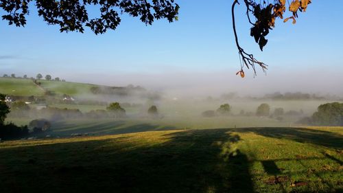 Scenic view of field against sky