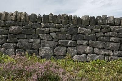 Many various sizes of stones or bricks make up this dry stone wall. peak district heather and plants