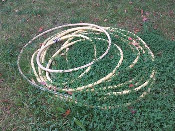 grass