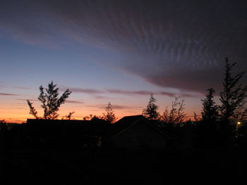 Silhouette trees and houses against sky at night