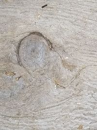 Full frame shot of wet sand