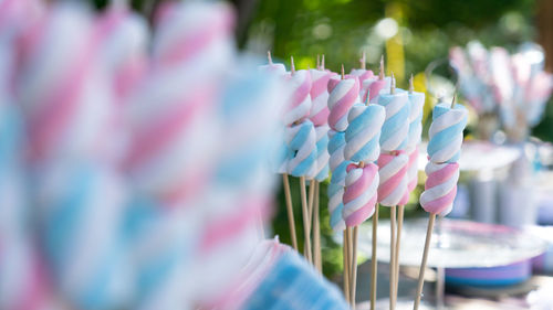 Close-up of colorful candies for sale