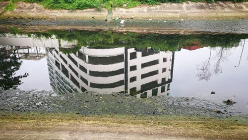 Reflection of trees in lake