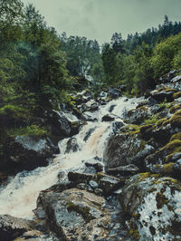 Scenic view of waterfall in forest against sky