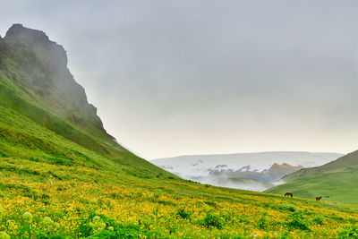 Scenic view of landscape against sky