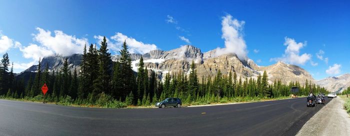 Panoramic shot of country road along trees