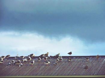 Low angle view of bird perching on roof against cloudy sky