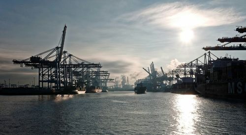 Container ships in sea at harbor