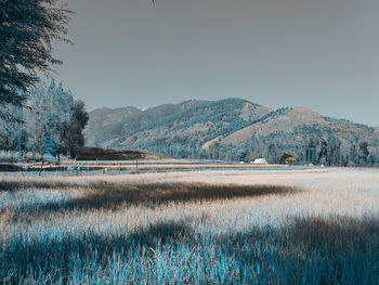 Scenic view of field against clear sky