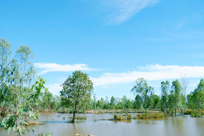 Scenic view of river against sky