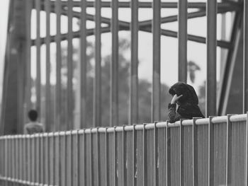 Full length of bird on railing