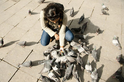 High angle view of woman feeding pigeons