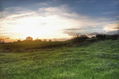 Scenic view of field against sky during sunset