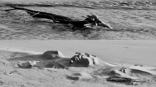 High angle view of horse on beach