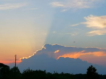 Low angle view of silhouette trees against sky during sunset