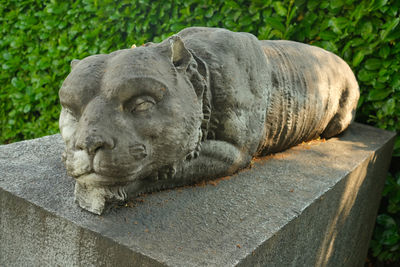 Statue of a sleeping tiger in savosa, canton ticino, switzerland.