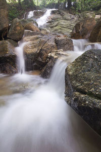 Scenic view of waterfall in forest