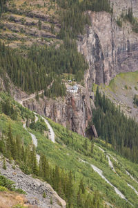 High angle view of trees on mountain