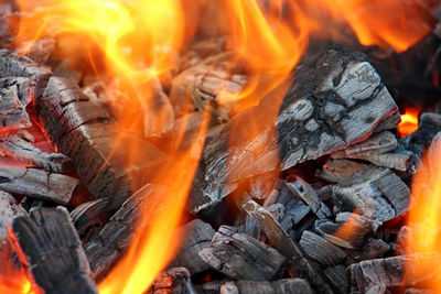 Close-up of firewood burning at night