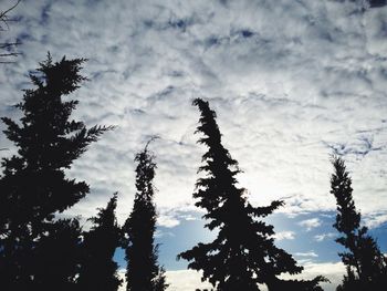 Low angle view of trees against cloudy sky