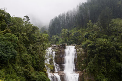 High waterfall full of water in the middle of nature. ramboda falls near nuwara eliya in sri lanka.