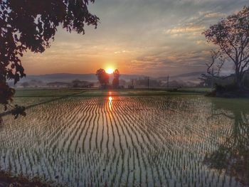 Scenic view of sunset over sea