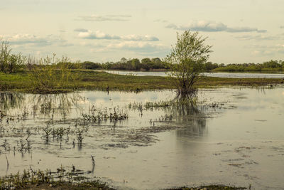 Calm lake on countryside landscape