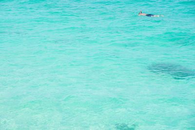 High angle view of swimming in sea